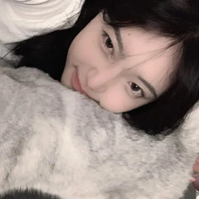 学姐可以爱我吗